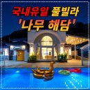 나무해담 이미지