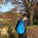 남원반야 이미지