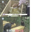 체험세상 이미지