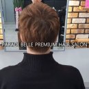 파라디벨