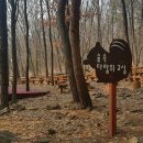 금정역(26167) 이미지