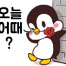 주황농장 이미지