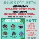 [공지] 전혀 다름 의 보홀 자유여행/ 고객 만족도 와 가성비.안전까지 보홀 나투어 자유여행 입니다 ~