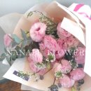 사파동178 이미지