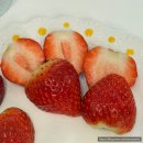 청솔청과 | 광명 맛집 청솔청과 과일 가게 N번째 방문 내돈내산 솔직후기 부모님 추석 선물 세트 추천 영업시간...