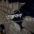 J.기획