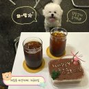 계림로(남) | [광주 애견카페] 새벽까지 하는 계림동 애견카페 개굿타임 | 강아지보다 사람이 더 먹고 오는 애견카페