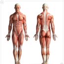 신부동 PT전문헬스장 호짐 이미지