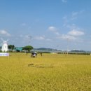 무지갯빛 이미지