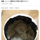 갤러리헬스