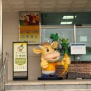 [봉화맛집] 좋은 품질의 한약우를 골라 바로 구워먹을수 있는 “봉화 한약우 프라자” 솔직 후기