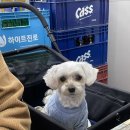 전원아구찜 - 창원시 마산합포구 | 전원아구찜