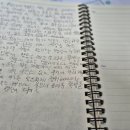해뜰집