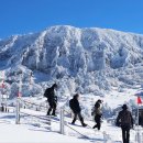 한라산 - 강서구 | 한라산