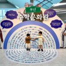 공굴려맞추기 | 부산 수학문화관 아이와 주말에 갈만한곳 실내 체험