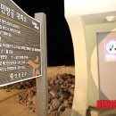 중면-1 이미지