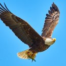 ACE컨설팅&행정사사무소 이미지