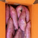 명지농장 네이버블로그