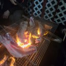 별님과달님 | 가평펜션 별님달님펜션 패밀리룸 내돈내산후기