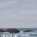 댕바우 네이버블로그