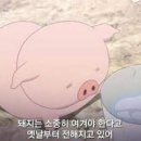선영이네 - 강서구 화곡로 194-48 | 선영이네