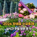 2026 울산 장생포 수국축제 실시간 개화, 인파 & 웨일즈카트 꿀팁 아이랑 가볼만한곳