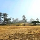 충희공 이인손 묘 이미지