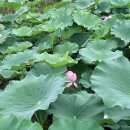 대가야역사테마관광지 이미지