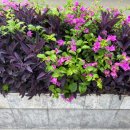 탑스뷰티 | 10월의 방콕 후아힌 Day5 마켓빌리지 젤네일 하우스 오브 뷰티