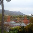 누리파크 캠핑장 이미지