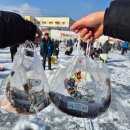 강원도 겨울 낚시 축제 2025 얼음나라화천 산천어축제 주말 후기