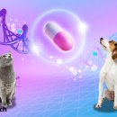 한국릴리 유한회사 이미지