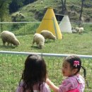 신동목장 이미지