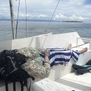 8월의 강아지 이미지