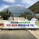 보은 생대추 수출 시장 판로 확대 마련