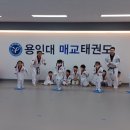 용인대 매교태권도장 이미지