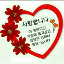 비비큐강원