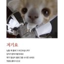 맥썸 장한평점 이미지