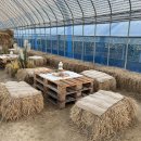 한강가족농장 이미지