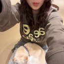 선샤인힐스 | 12월의 또쿄...with 나노00