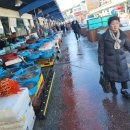 묵호어판장 이미지