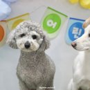 주견야독 이미지