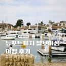 뉴포트비치 | [미국여행]뉴포트비치 발보아섬 여행 후기｜주차·먹거리·산책 코스 총정리