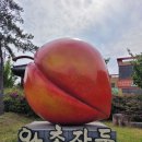 장고농장 이미지