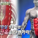 엔와이요가 네이버블로그