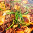 황금벼슬 이미지