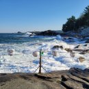 2025설악산 단풍? 이미지