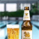 훼미리마트연일점 | [술이야기] 태국 맥주 종류 완벽 가이드: 맛, 향, 판매시간부터 구매 꿀팁까지!