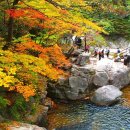 강릉 오대산 소금강계곡 ‘작은 금강산’이라고 불리는 이유 이미지