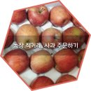 장택농장 | 농장 직거래, 사과 주문하기